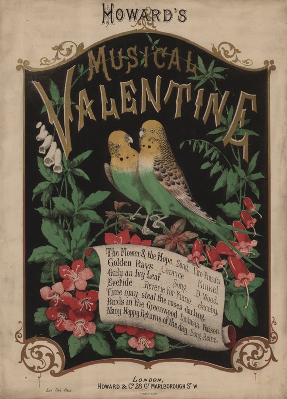 Howards Musical Valentine (kolorowa litografia) autorstwa English School