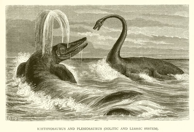 Ichtiozaur i Plesiosaurus, układ oolitowy i liasowy autorstwa English School