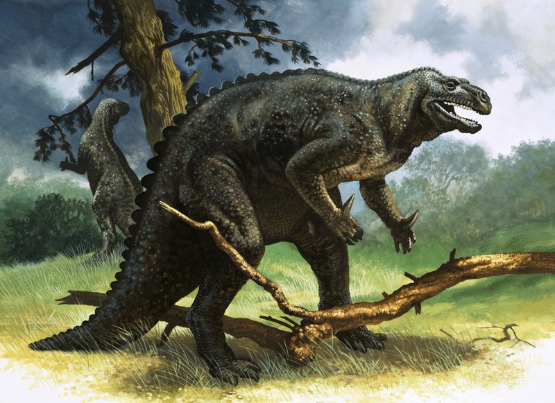 Iguanodon autorstwa English School