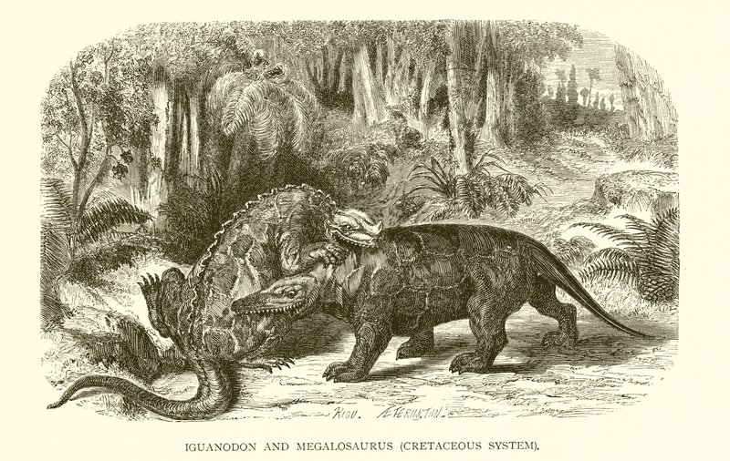 Iguanodon i megalozaur, system kredowy autorstwa English School