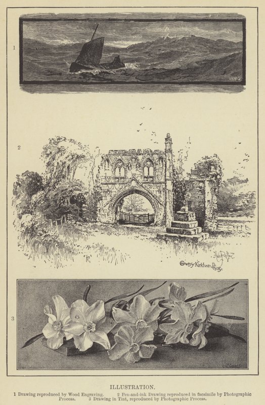 ilustracja (grawerunek) autorstwa English School