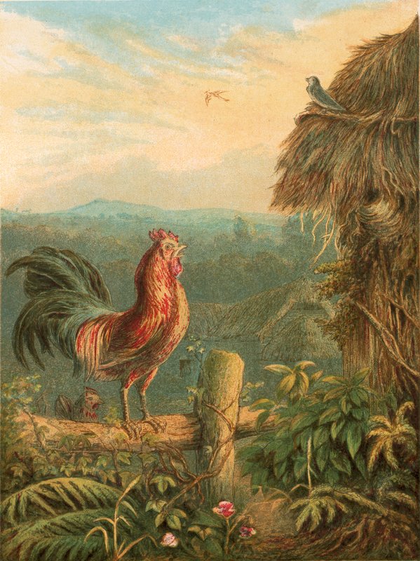 Ilustracja do Elegii Graya autorstwa English School
