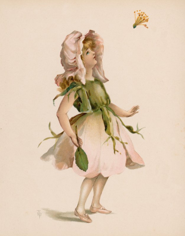 Ilustracja do języka kwiatów (chromolitho) autorstwa English School