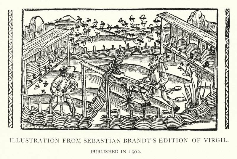Ilustracja z Edycji Wergiliusza Sebastiana Brandta, wydanej w 1502 r. (lito) autorstwa English School
