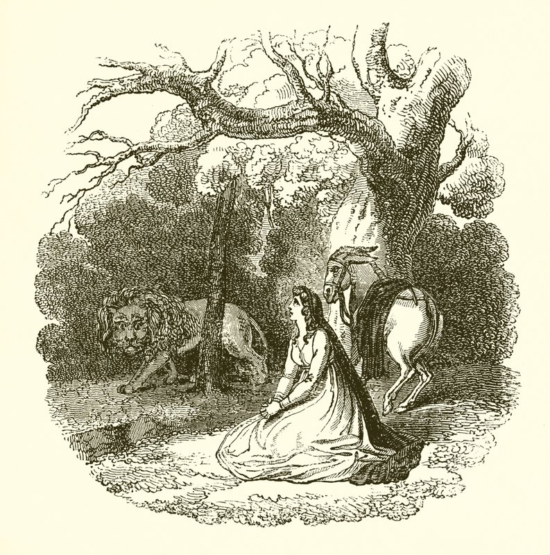 Ilustracja Królowej Wróżek autorstwa English School
