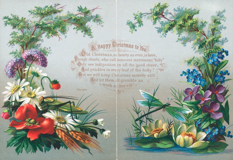 Owady i Kwiaty, Kartka Świąteczna autorstwa English School