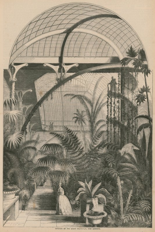 Wnętrze Wielkiej Palmarum, Kew Gardens, Londyn autorstwa English School