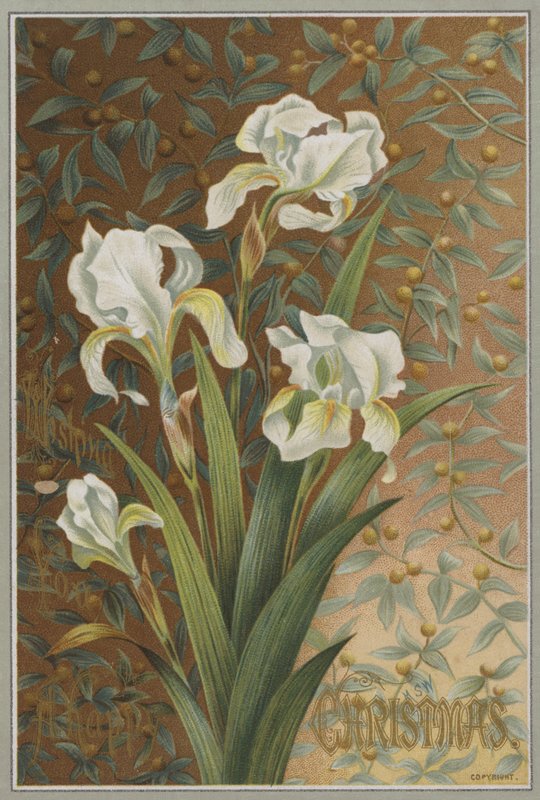 Iris (chromolitho) autorstwa English School