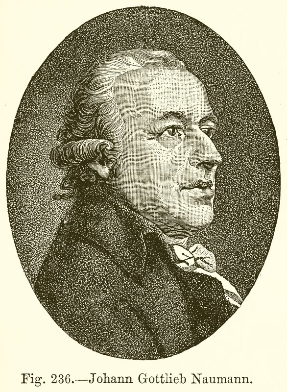 Johann Gottlieb Naumann autorstwa English School