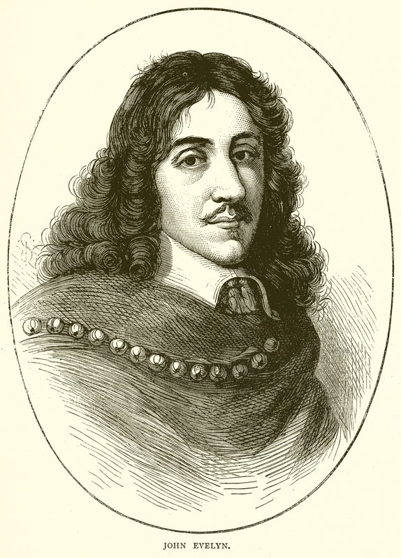 John Evelyn autorstwa English School