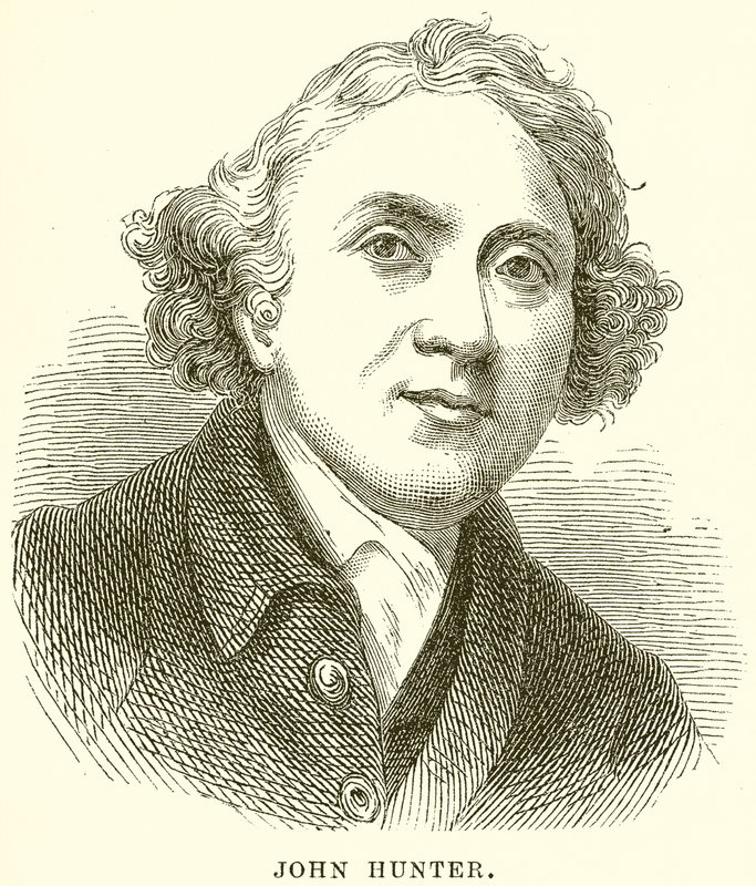 John Hunter autorstwa English School