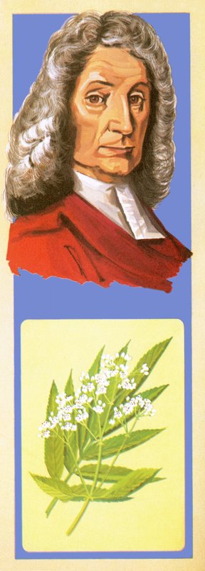 John Ray autorstwa English School