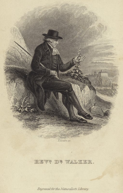 John Walker autorstwa English School