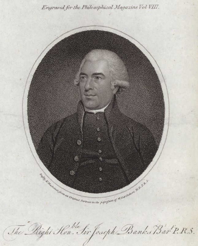 Joseph Banks autorstwa English School
