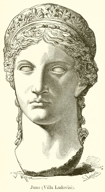 Juno (Willa Ludovisi) autorstwa English School