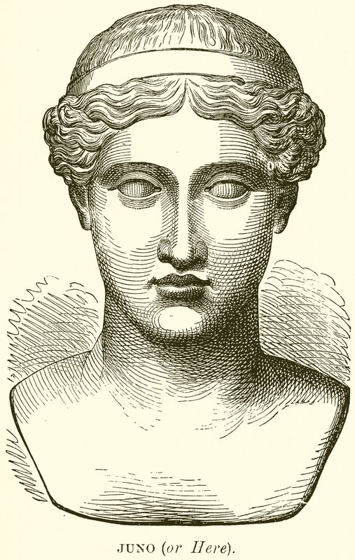 Juno (lub tutaj) autorstwa English School