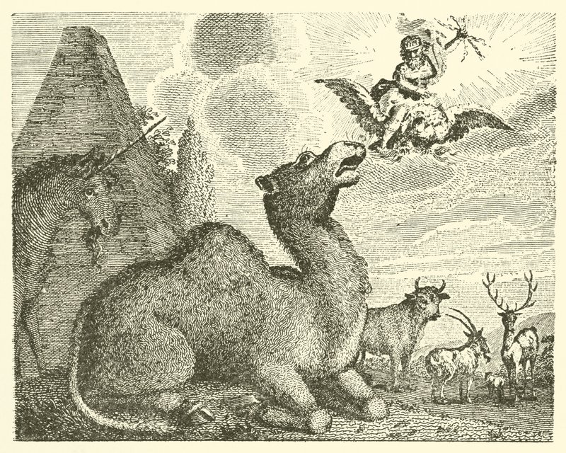 Jowisz i wielbłąd (rycina) autorstwa English School