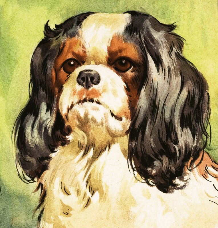 King Charles Spaniel autorstwa English School