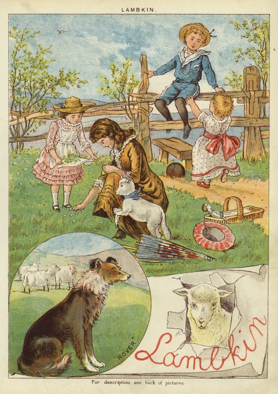 Jagnięcina (chromolit) autorstwa English School