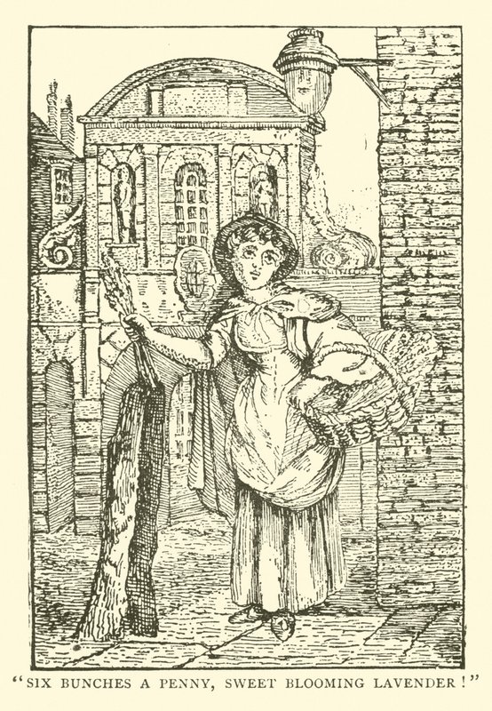 Sprzedawca lawendy (drzewryt) autorstwa English School