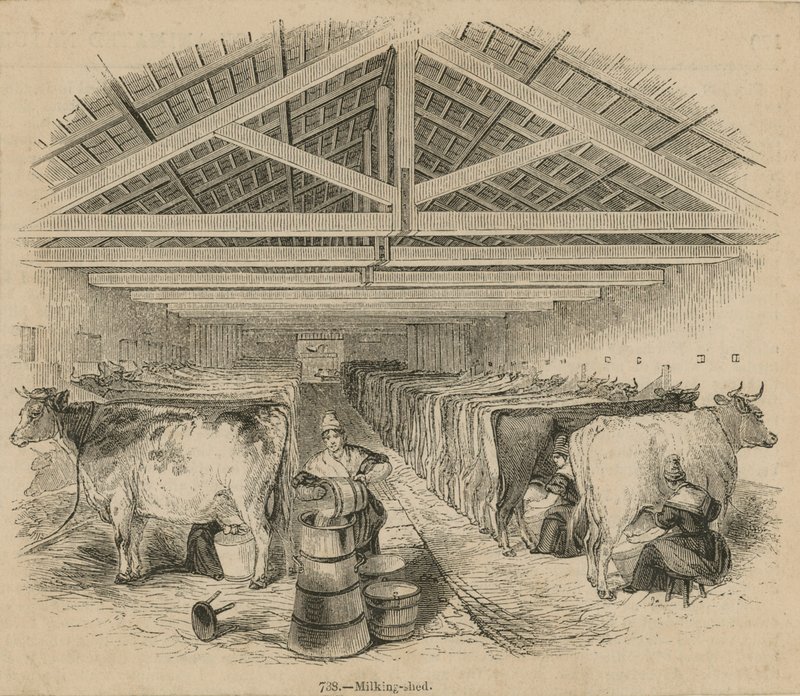 Farma mleczarska Laycocks z lipca 1841 r autorstwa English School
