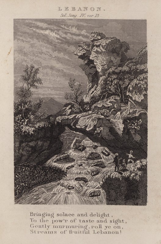 Liban, Pieśń Salomona IV, wer. 15 (rycina) autorstwa English School