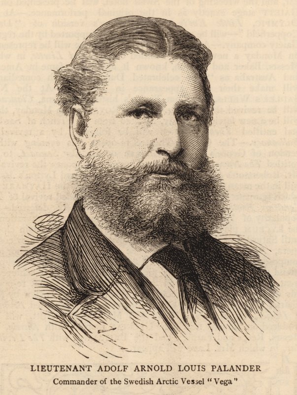 Porucznik Adolf Arnold Louis Palander (grafika) autorstwa English School