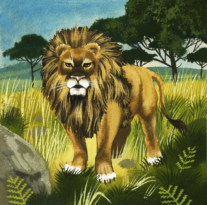 Lew autorstwa English School