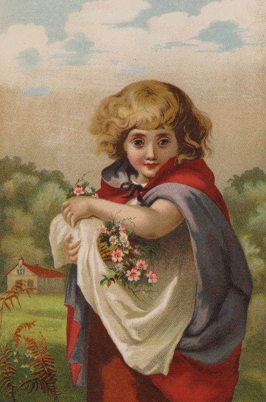 Mała niezapominajka (chromolit) autorstwa English School