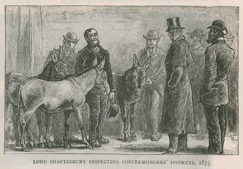 Lord Shaftesbury przeprowadza inspekcję osłów handlarzy kosztami autorstwa English School