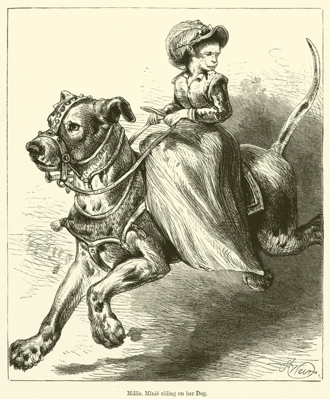 Mademoiselle Minie na swoim psie (grawerunek) autorstwa English School