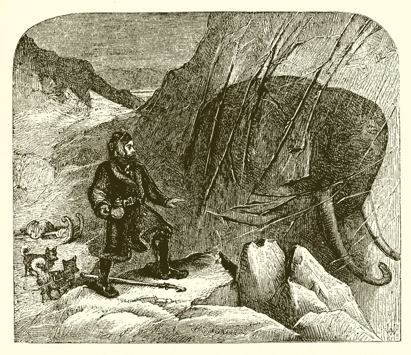 Mamut w lodzie autorstwa English School