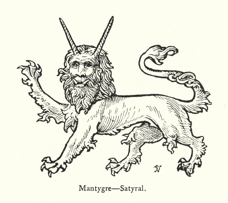 Mantygre, Satyral (rycina) autorstwa English School