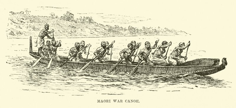Maori War Canoe autorstwa English School