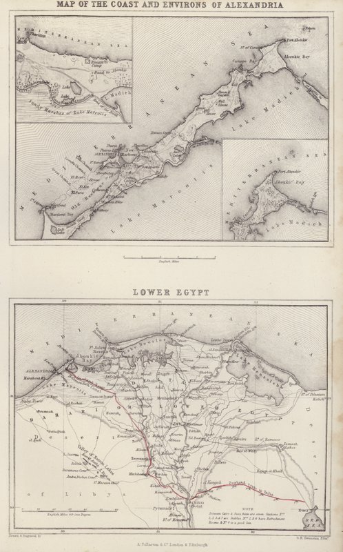 Mapa: Mapa wybrzeża i okolic Aleksandrii; Dolny Egipt (kolorowa litografia) autorstwa English School