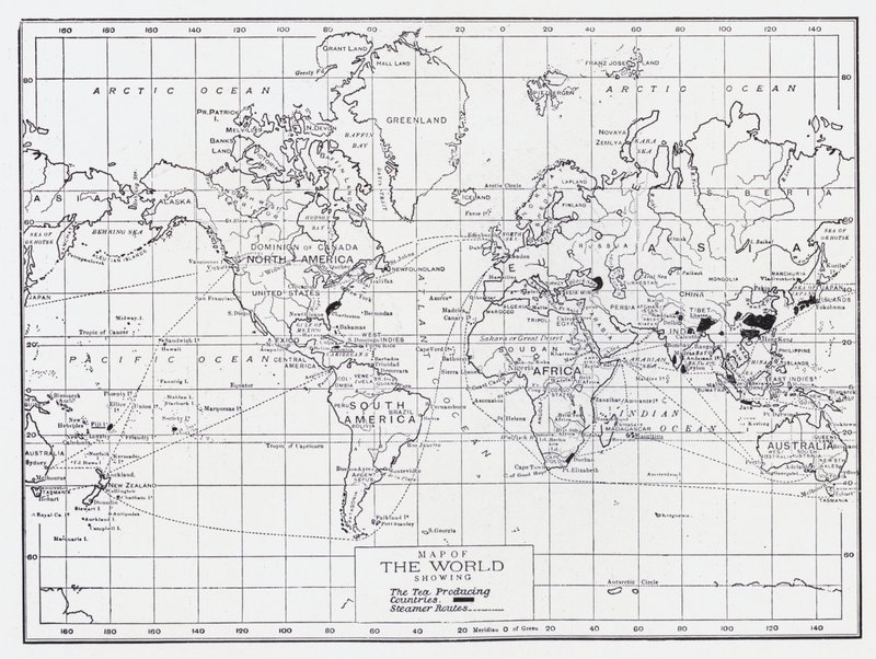 Mapa świata przedstawiająca kraje produkujące herbatę autorstwa English School