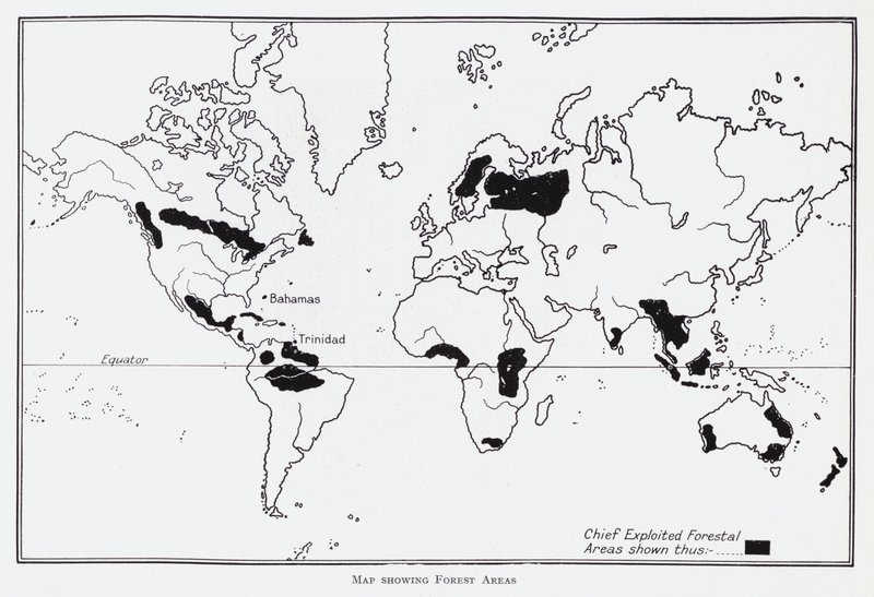 Mapa przedstawiająca obszary leśne (lito) autorstwa English School