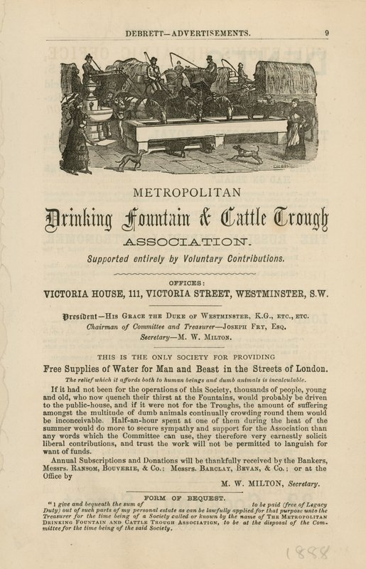 Metropolitan Poidła i Stowarzyszenie Koryta Bydła autorstwa English School