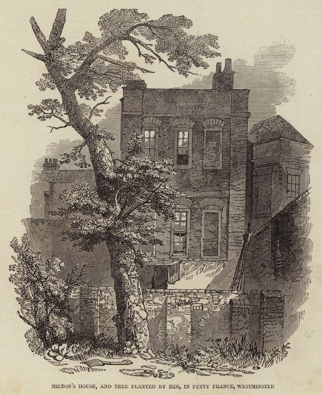 Dom Miltona i drzewo zasadzone przez niego, w Petty France, Westminster (grawerowanie) autorstwa English School