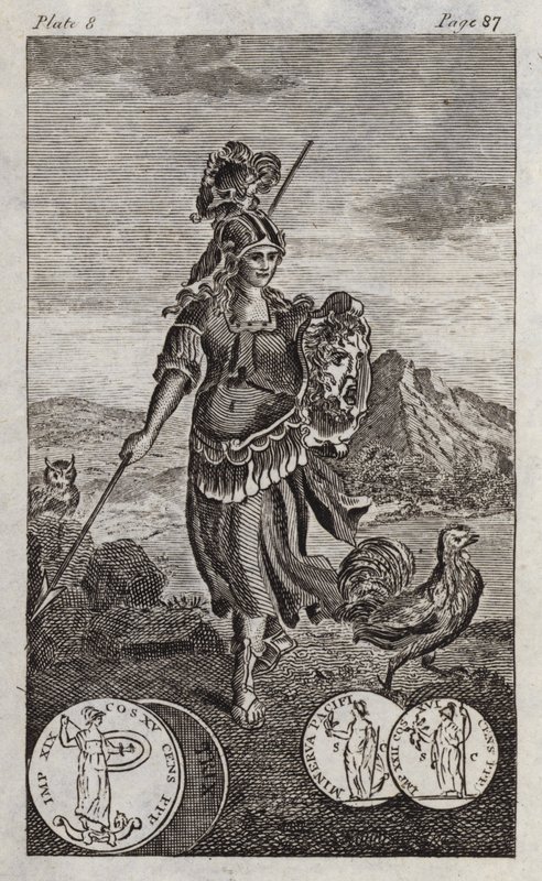 Minerva, czyli Pallas (grawerunek) autorstwa English School