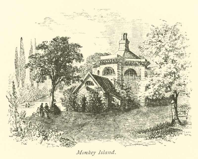 Małpia wyspa autorstwa English School
