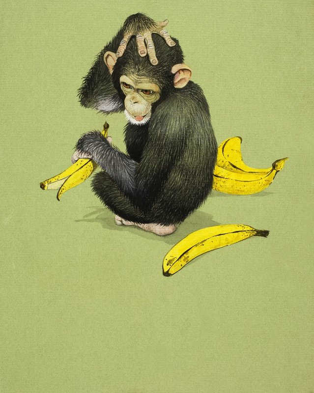 Małpa z Bananami autorstwa English School