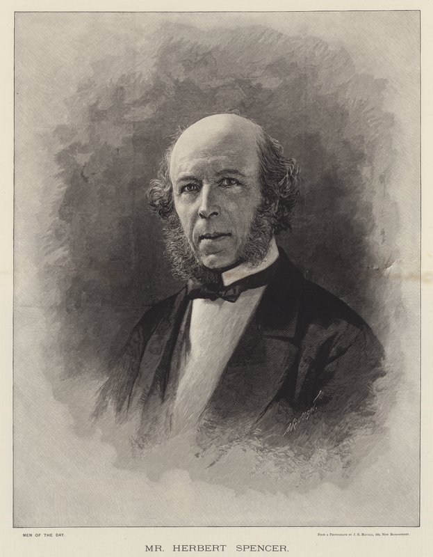 Pan Herbert Spencer (grawerunek) autorstwa English School