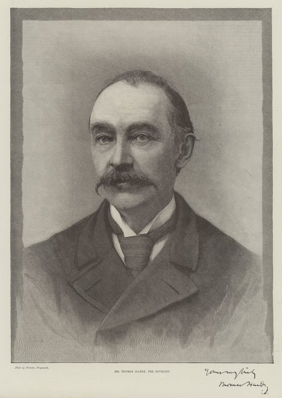 Pan Thomas Hardy, powieściopisarz (grafika) autorstwa English School