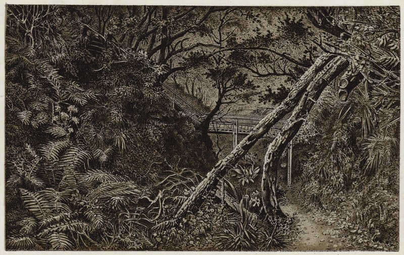 Mulgrave Woods, niedaleko Whitby (litografia) autorstwa English School