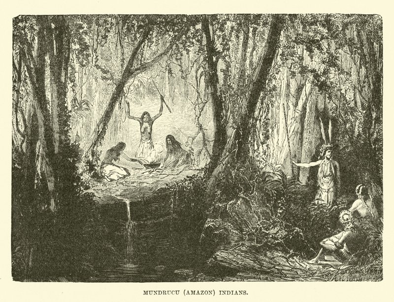 Indianie Mundrucu (Amazon) autorstwa English School