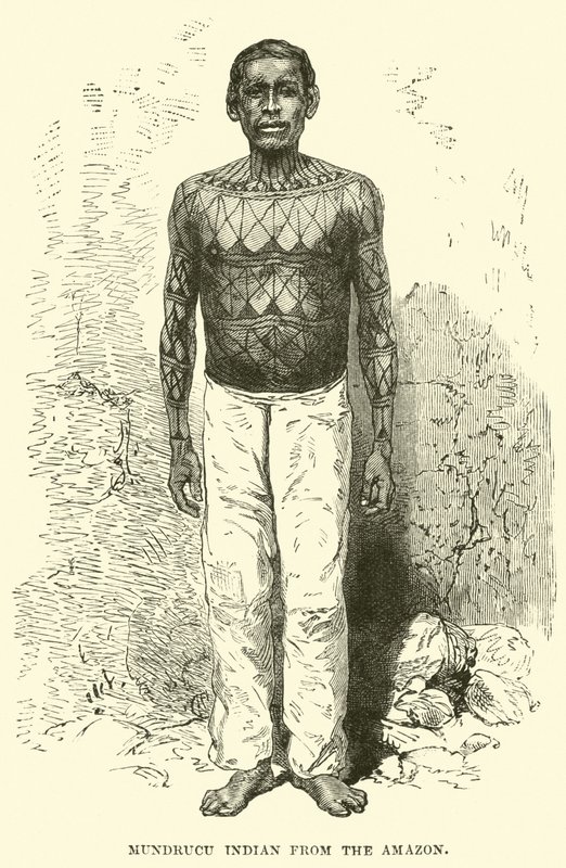 Indianin Mundrucu z Amazonii autorstwa English School