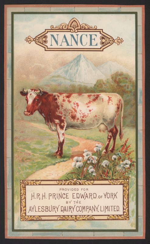 Nance, reklama Aylesbury Dairy Company autorstwa English School