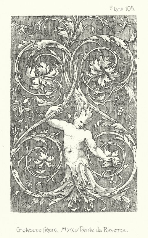 Natura w ornamencie: Groteskowa postać, Marco Dente da Ravenna (litografia) autorstwa English School
