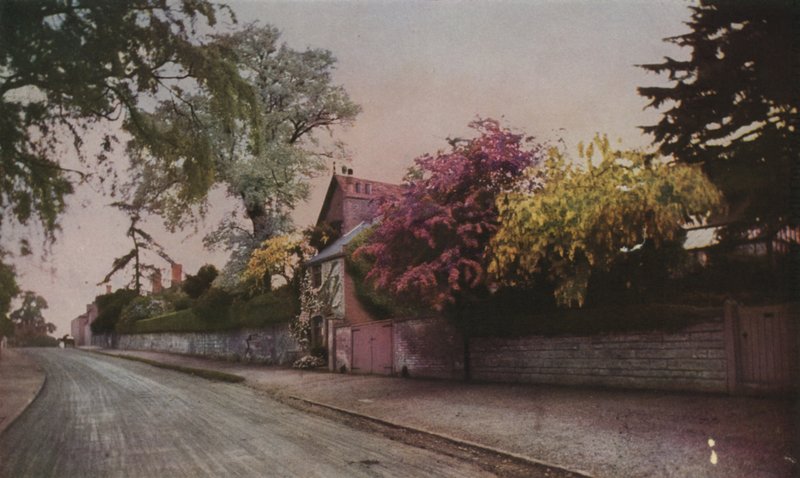 Piękno natury ujawnione w kolorze przez fotografię (zdjęcie kolorowe) autorstwa English School